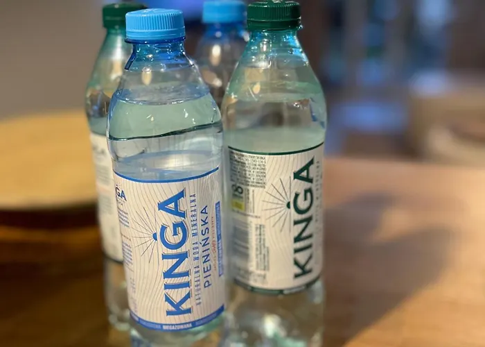 Airport Nowe Ogrody Comfort * Poznań